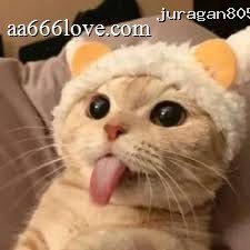 Uu Ruzhanul profile picture